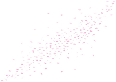 Cherry blossom background material illustrationのイラスト素材
