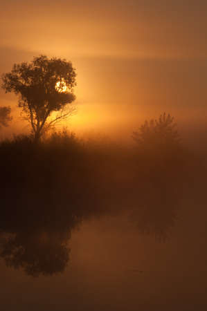 misty lake on a summer morning, sunriseの写真素材