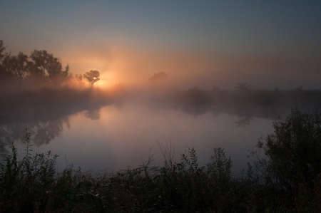 misty lake on a summer morningの写真素材