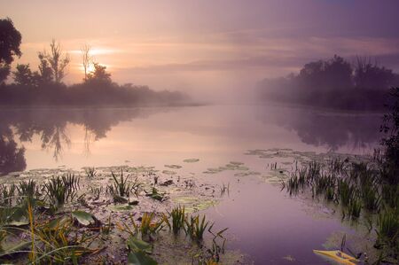 Landscape of morning sunrise with lake and forest. の写真素材