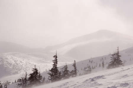 mountain landscape の写真素材