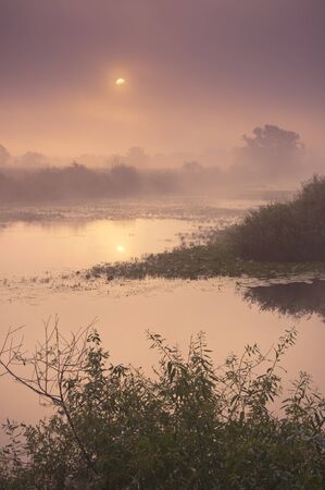 Landscape of morning sunrise の写真素材
