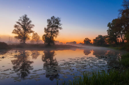autumn landscape, trees in the mist at dawnの写真素材