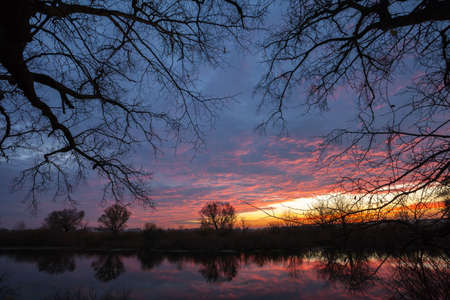 Sunrise over the lake with the reflection of bare trees in the waterの写真素材