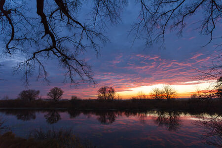 Sunrise over the lake with the reflection of bare trees in the waterの写真素材
