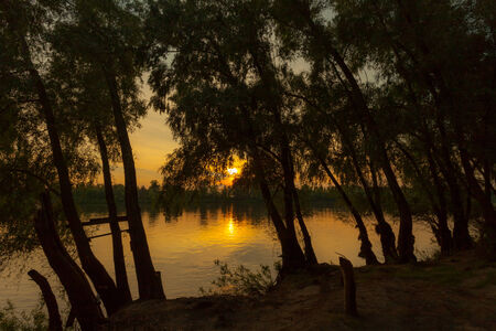 Sunrise over the lake with the reflection of bare trees in the waterの写真素材