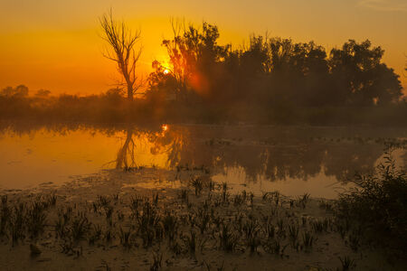Sunrise over the lake with the reflection of bare trees in the waterの写真素材