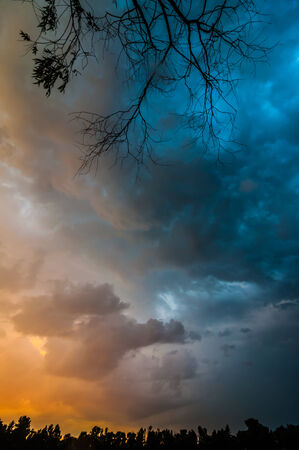 Sunrise over the lake with the reflection of bare trees in the waterの写真素材