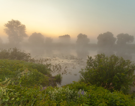 Amazingly beautiful sunrise over Lake, foggyの写真素材