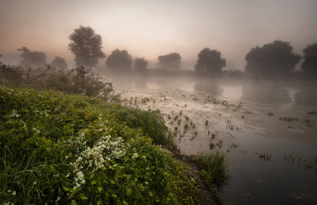 Amazingly beautiful sunrise over Lake, the foggy