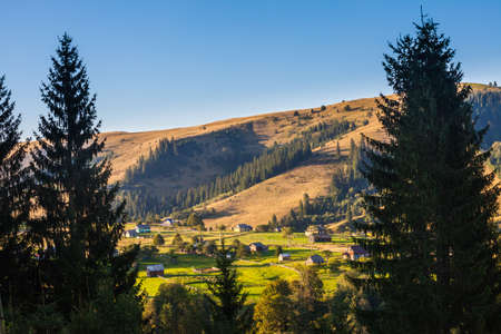 Beautiful nature of the mountains and hill in summer, ukraineの写真素材