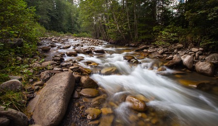 Beautiful view of mountain river in summer, Carpathian, Ukraine