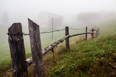 Misty beech forest on the mountain slope in a nature reserve.の写真素材