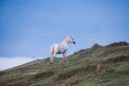 Majestic sunset in the mountains landscape.Carpathian, Ukraine.の写真素材