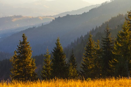 the mountain autumn landscape with colorful forest.の写真素材