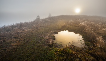 highland vegetation modest summer and unusually beautiful colors blooms in autumn, before cold weather.の写真素材