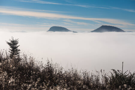 Fog covering the mountain forests, Ukraine, fall