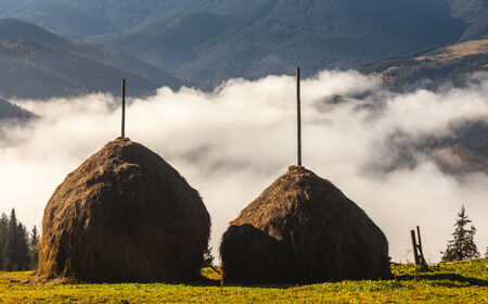 Fog covering the mountain forests, Ukraine, fallの写真素材