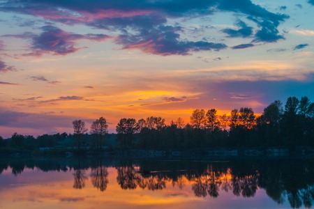 Forest lake