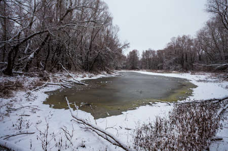 Winter landscape.の写真素材