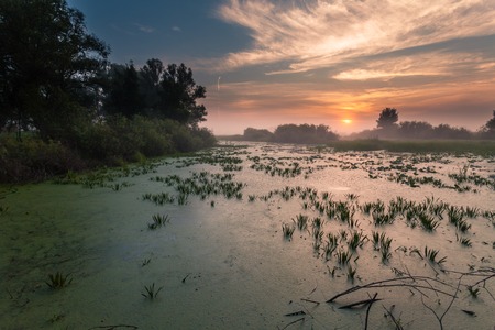 Landscape, romantic sunrise in the mist. Ukraineの写真素材