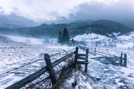 Snowstorm. Winter in the mountains. The Ukraineの写真素材