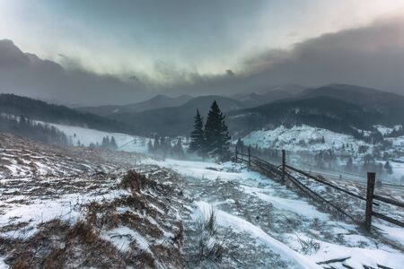 Snowstorm. Winter in the mountains. The Ukraineの写真素材