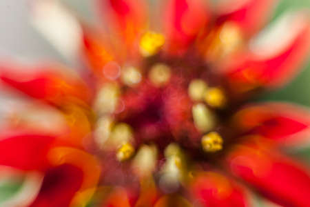 abstract flower background. flowers made with color filtersの写真素材