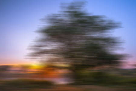 Abstract defocused colorful blurred background. The Ukraineの写真素材