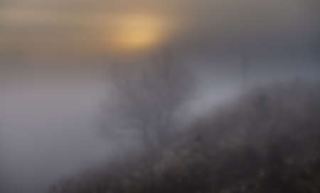 Abstract defocused colorful blurred background. The Ukraine.の写真素材