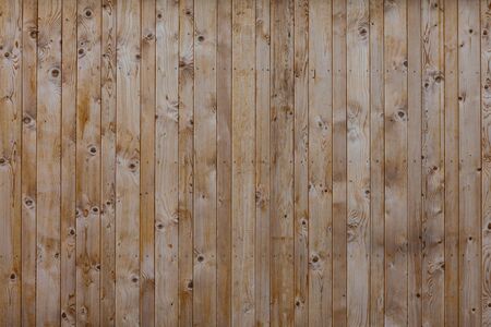 Wood - texture