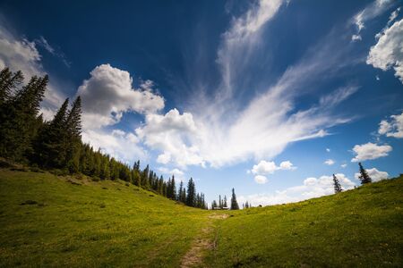 mountain summer landscape. trees near meadow and forest on hillside under  sky with clouds at sunsetの写真素材
