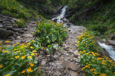 Beautiful small waterfall In Mountains, Ukraine. The  White water waterfall.の写真素材
