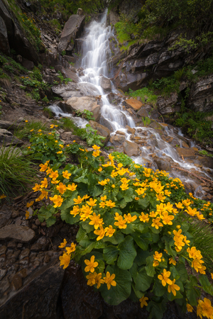 Beautiful small waterfall In Mountains, Ukraine. The  White water waterfall.の写真素材