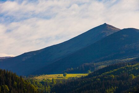 mountain summer landscape. trees near meadow and forest on hillside under  sky with clouds at sunsetの写真素材
