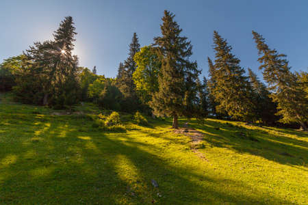 The Mountain landscape in Ukraine.The wallpaper sunlighteの写真素材