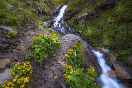 Beautiful small waterfall In Mountains, Ukraine. The White water waterfall.の写真素材
