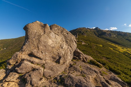 The Mountain landscape in Ukraine.The wallpaper sunlighteの写真素材
