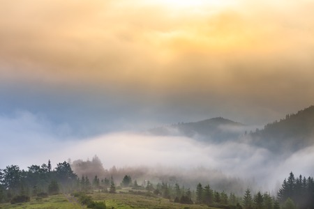 Misty morning in the Carpathians. The Ukraineの写真素材