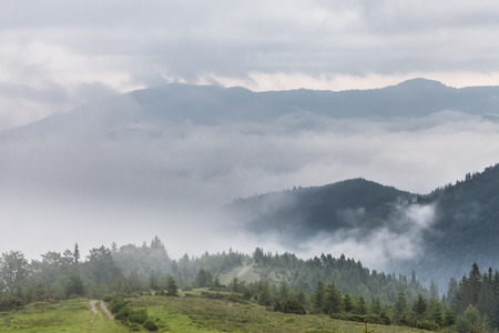 Misty morning in the Carpathians. The Ukraineの写真素材