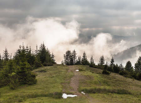 Misty morning in the Carpathians. The Ukraineの写真素材