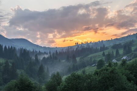 Misty morning in the Carpathians. The Ukraineの写真素材