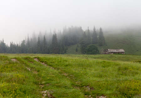Amazing mountain landscape with fog. The carpathianの写真素材