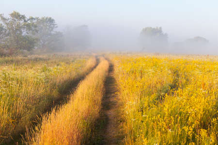 Colourful sunset on the river. The Ukraineの写真素材
