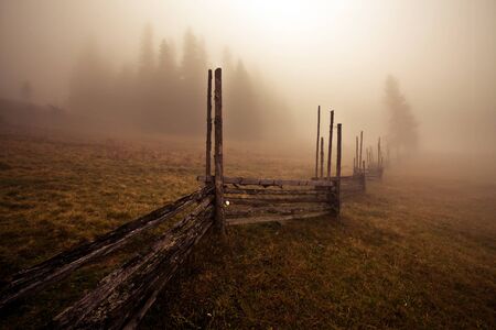 Colorful autumn trees  Colorful autumn trees  Colorful autumn treesの写真素材
