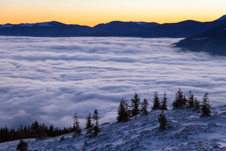 snovy trees on winter mountains.の写真素材