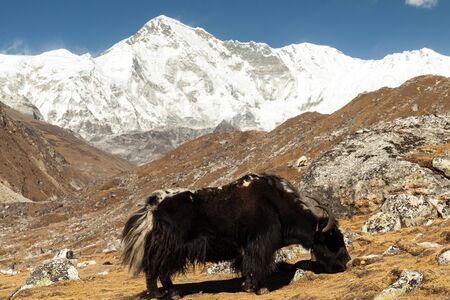 Himalayas. Gokyo Ri, Mountains of Nepal, snow covered high peaks and lake not far from Everest.の写真素材