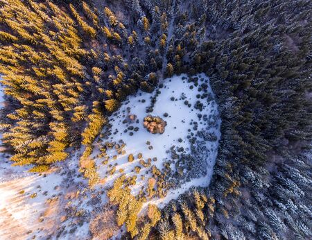 aerial view of winter forest covered in snow. drone photography - panoramic imageの写真素材
