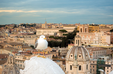 street traffic, Italy, Romaの写真素材