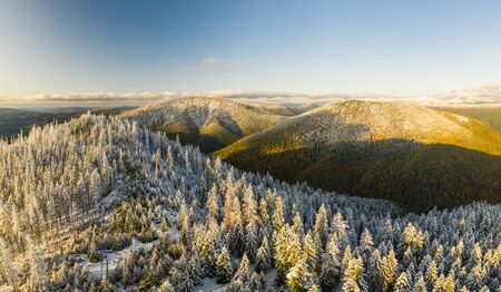 AERIAL: Flight Over Foggy Autumn Colourful Forests. Drone View at misty hills with vibrant foliage in fall. Breathtaking landscape, autumn and winter aesthetics.の写真素材